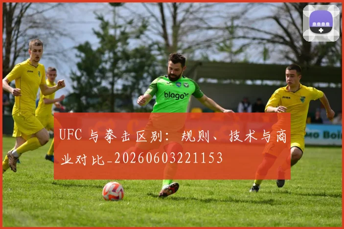 UFC 与拳击区别:规则、技术与商业对比_20260603221153